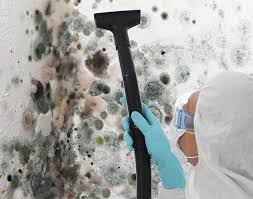 Why You Should Choose Our Mold Remediation Services in Hobart, WA